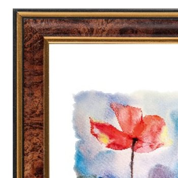 Рамка пластик 25x38 Зебра 1,7мм 3925 орех (25)