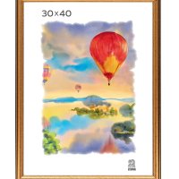 Рамка пластик 30x40 Зебра 1,7мм 3904 золото (15)