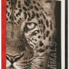 Фотоальбом 100 фото 10*15 Image Art Леопард 400 (24)