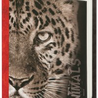 Фотоальбом 100 фото 10*15 Image Art Леопард 400 (24)