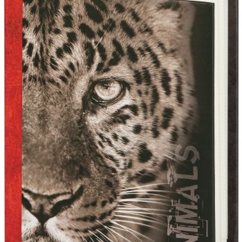 Фотоальбом 100 фото 10*15 Image Art Леопард 400 (24)