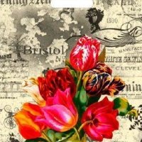 Пакет ПВД с вырубной ручкой 30х40 35мкм Бристоль (50)