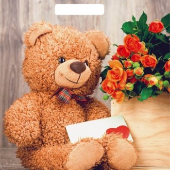 Пакет ПВД с вырубной ручкой 31х40 60мкм Тедди (50)