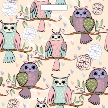 Пакет ПВД с вырубной ручкой 36х43 35мкм Совушки (50)