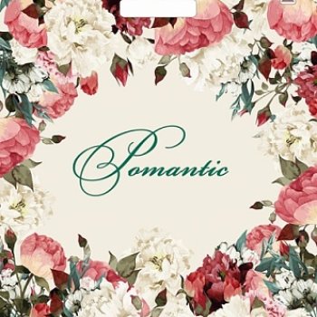 Пакет ПВД с вырубной ручкой 38х45 60мкм Благородные цветы (50)