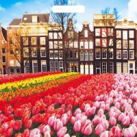 Пакет ПВД с вырубной ручкой 38х45 60мкм Весна в городе (25)