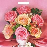 Пакет ПВД с вырубной ручкой 38х45 60мкм Виола (25)