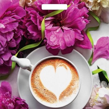 Пакет ПВД с вырубной ручкой 38х45 60мкм Паула (25)