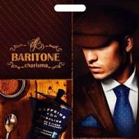 Пакет ПВД с вырубной ручкой 40х47 45мкм Баритон (50/500)