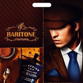 Пакет ПВД с вырубной ручкой 40х47 45мкм Баритон (50/500)