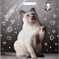 Пакет ПВД с вырубной ручкой 40х47 45мкм Шалун (50/500)