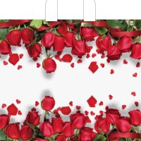 Пакет ПВД с петлевой ручкой 38х34 70мкм Гран при (50)