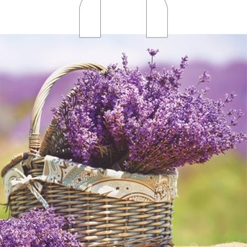 Пакет ПВД с петлевой ручкой 38х34 70мкм Корзинка нежности (50/500)