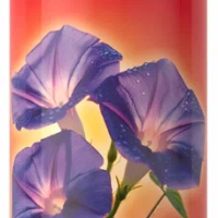 Освежитель Романтика 300мл Летнее утро (12)