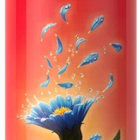 Освежитель Романтика 300мл После дождя (12)