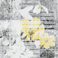 Коврик рулонный 0,80х15м Graily GR71-80 (1)