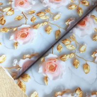 Термопленка в рулоне 0,65ммx0,8мx20м STP5818-1 (1)