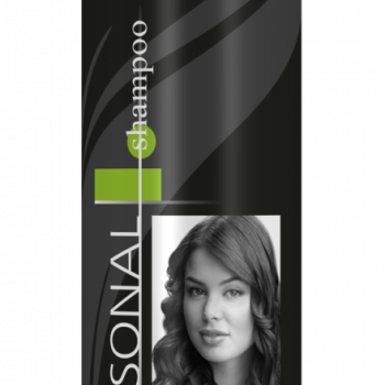 Шампунь Jet 250мл Восстанавливающий для ослабленных и сухих волос черный Сибиар (24)