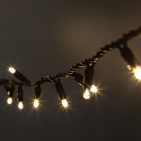Нить 30LED 3м теплый свет бел. мерц. черн. каучук 220В IP65 Эра (без шнура) (20)