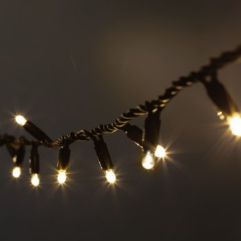 Нить 30LED 3м теплый свет бел. мерц. черн. каучук 220В IP65 Эра (без шнура) (20)