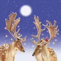 Салфетки бумажные Veiro 33х33 3слоя 20шт Олени и мальчик (14)