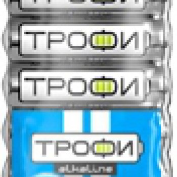 Батарейка LR 6 Трофи Energy Power 10xBL (100/800)