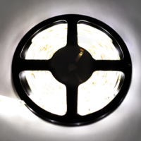 Лента диодная 12В IP65  4.8Вт/м 2800К 60LED/м  5м Ecola Pro 360Лм/м 8мм (25)