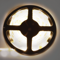 Лента диодная 12В IP65  7.2Вт/м 2800К 30LED/м  5м Ecola Pro 540Лм/м 10мм (25)