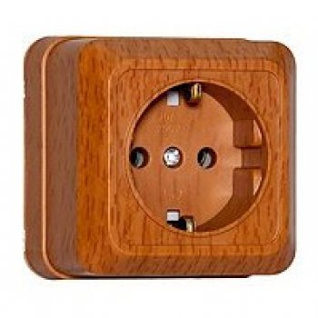 Розетка Олимп 1-ая бук с/з (10/100)