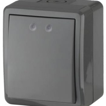 Выключатель Эра Эксперт 1кл IP54 серый (16)
